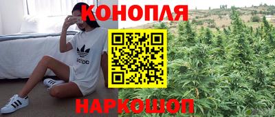 гидра Рязань