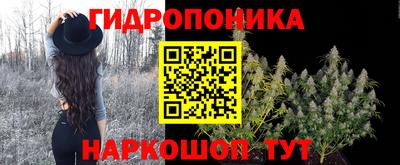 гидра Рязань